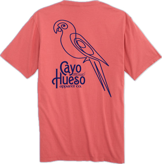 RePete the Parrot